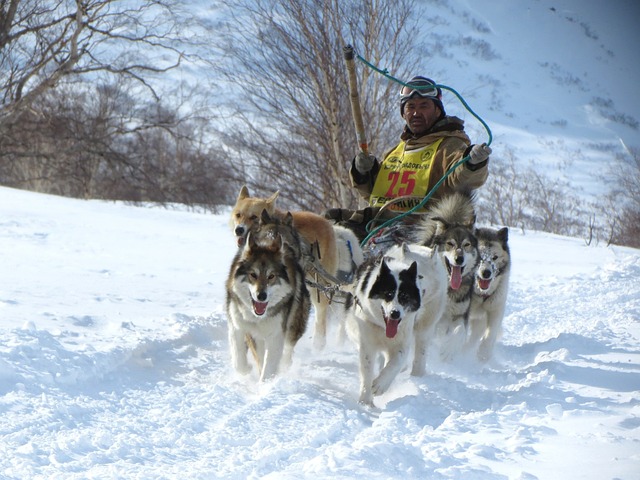 Alper