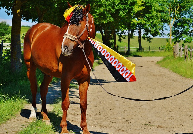 不仅仅扩大 不仅仅扩大