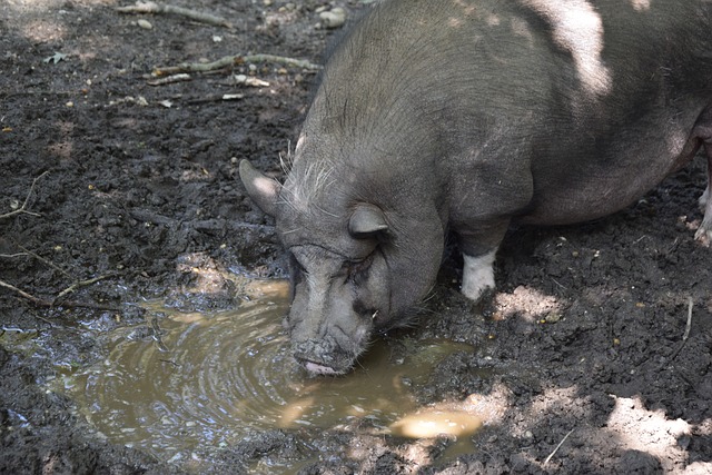 面上最顶级 面上最顶级