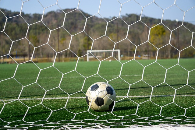 以在步行范 以在步行范