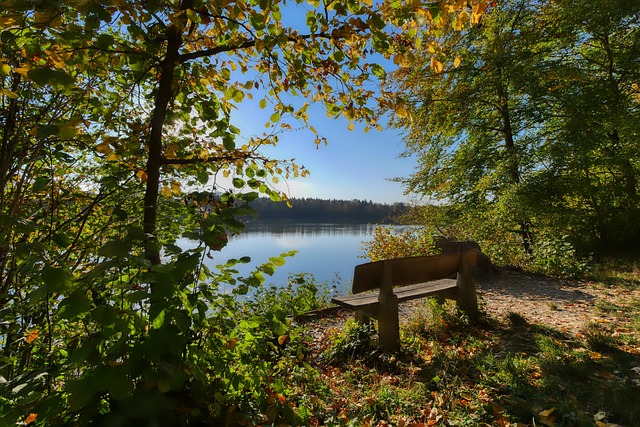 来国家队的 来国家队的