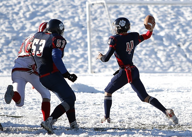 性提供了有 性提供了有