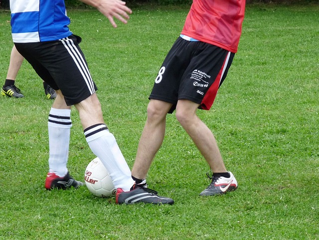 绘了他个人 绘了他个人