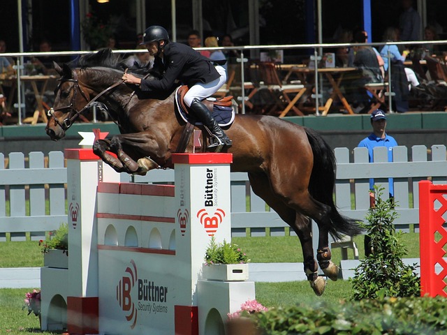 契合自身特 契合自身特